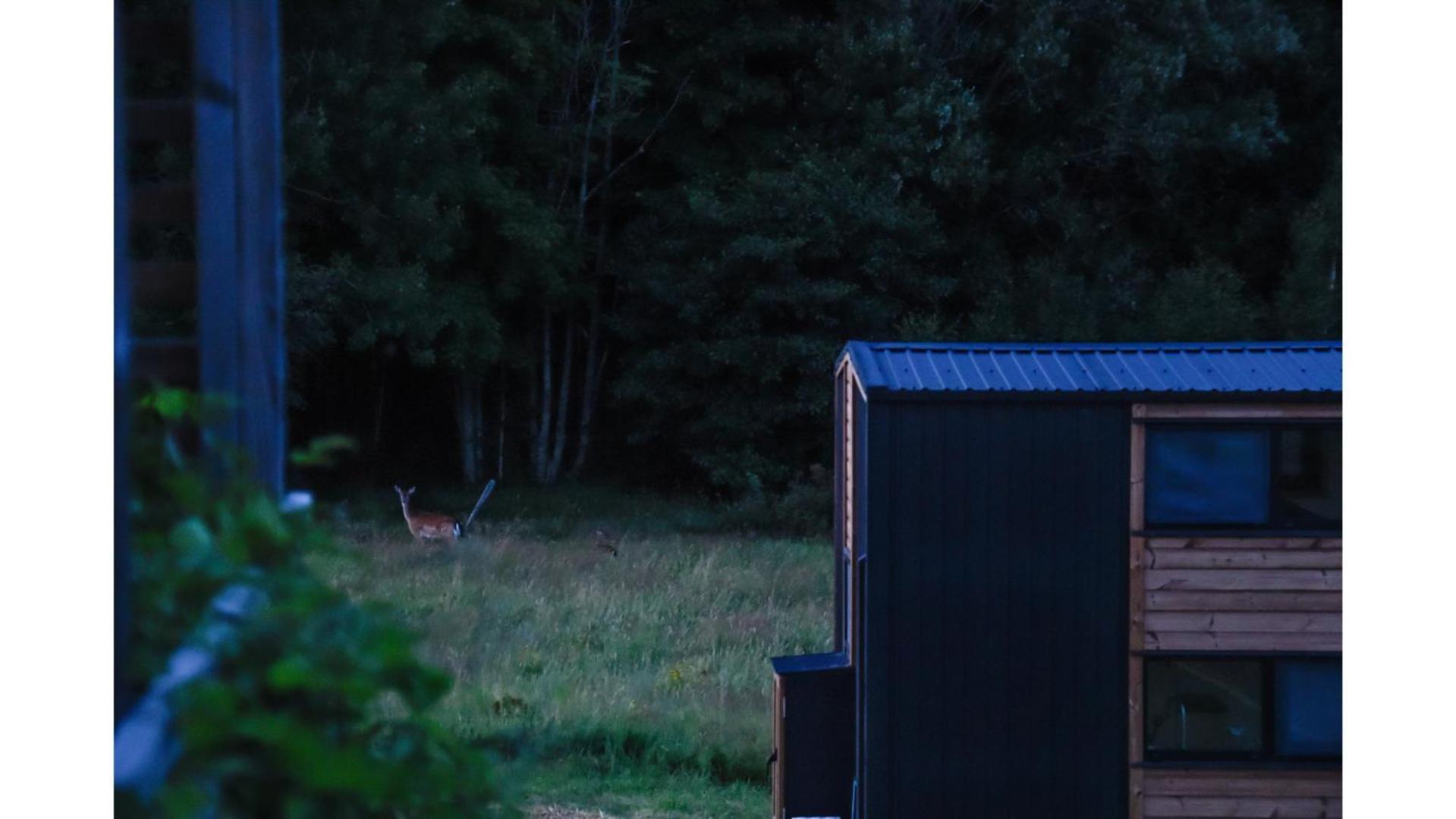 Villa Bostebacken Gard Tiny House By Tiny Away Eckerud Exterior foto